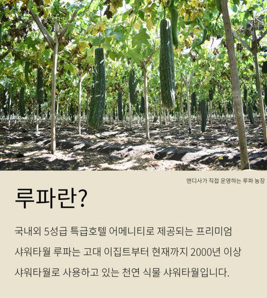 맨디사 루파 샤워타월 롱